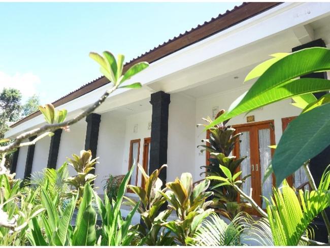 Wani Bali Bungalow Toyapakeh Extérieur photo